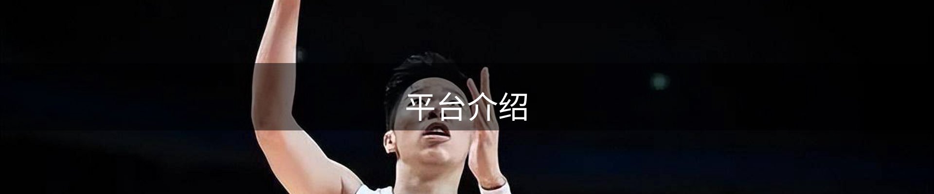 平台介绍